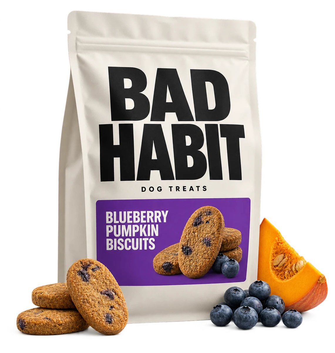 Blueberry Pumpkin Biscuits