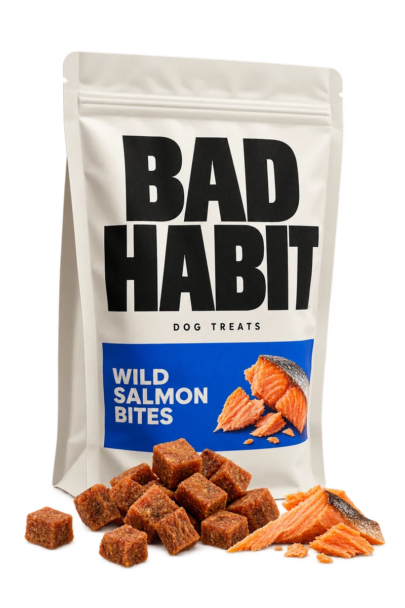 Wild Salmon Bites